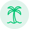 Mas Floripa